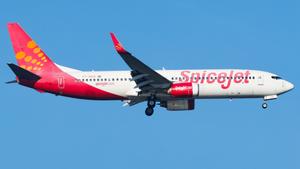VT-SGG