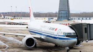 Photo of B-1393 - Boeing 737 MAX 8 operated by Air China