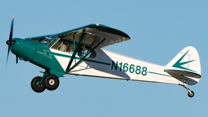 Photo of N16688 - Piper PA-18-125 Super Cub operated by Private