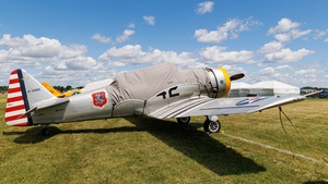 Photo of N5WS - North American AT-6C Texan operated by Private