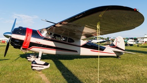 Photo of N252BB - Cessna 195A operated by Private