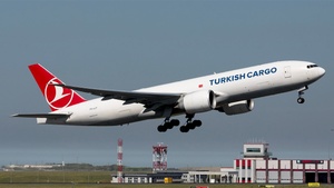 Latest photo by Omur Sadikoglu