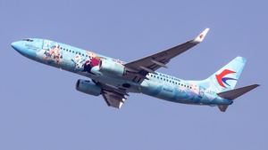 Photo of B-1517 - Boeing 737-87L operated by Shenzhen Airlines