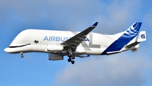 Photo of F-GXLN - Airbus A330-743L Beluga XL operated by Airbus Transport International
