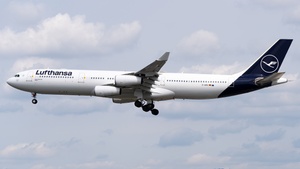 Photo of D-AIFE - Airbus A340-313 operated by Lufthansa