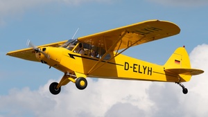 Photo of D-ELYH - Piper PA-18-95 Super Cub operated by Private