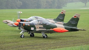 Photo of D-EDUR - SIAI-Marchetti SF.260 operated by Formation Team Niebergall