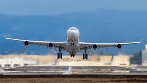 Photo of D-AIGN - Airbus A340-313 operated by Lufthansa