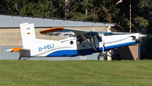 D-FELI