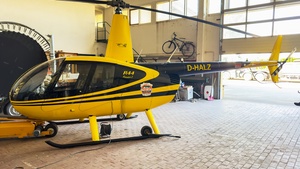 D-HALZ