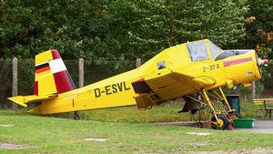 D-ESVL