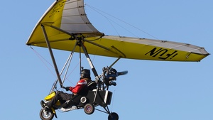 D-MLXP