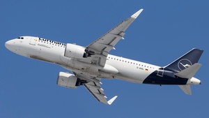 D-AINL