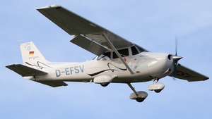 D-EFSV