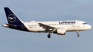D-AILC