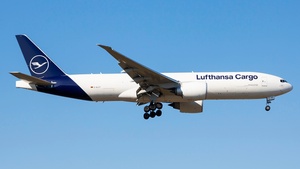 D-ALFF