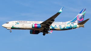 Photo of B-1151 - Boeing 737-89P operated by China United Airlines