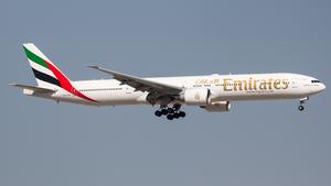 A6-EGF