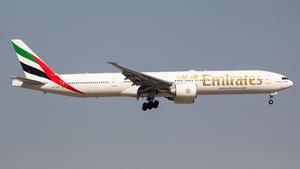A6-ENK