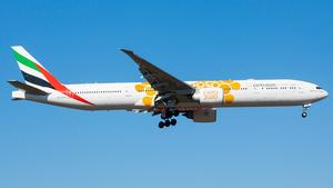 A6-EQO