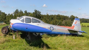 Photo of D-EFYX - Ryan Navion A operated by Private