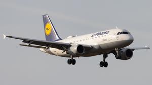 D-AILA