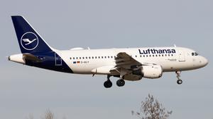 D-AILY