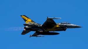 Photo of FA-136 - General Dynamics F-16AM Fighting Falcon operated by Belgian Air Force
