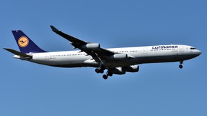 Photo of D-AIGS - Airbus A340-313 operated by Lufthansa