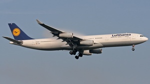 Photo of D-AIGI - Airbus A340-311 operated by Lufthansa