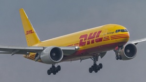 D-AALL