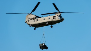 Photo of D-601 - Boeing Vertol CH-47F Chinook operated by Royal Netherlands Air Force