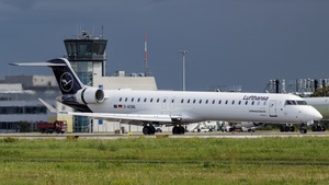 D-ACNQ