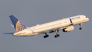 N17104