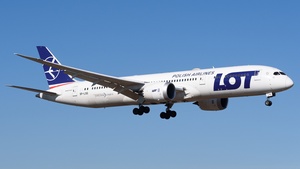 SP-LSG