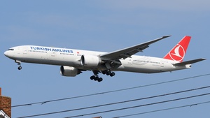 TC-JJK