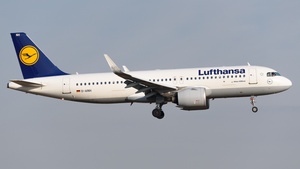 D-AINH