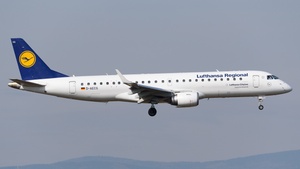 D-AECG