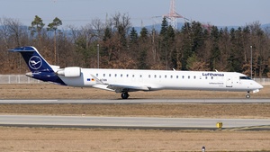 D-ACNN